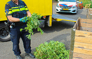 Ernstige mishandeling in Terneuzen